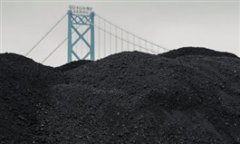 Pet Coke